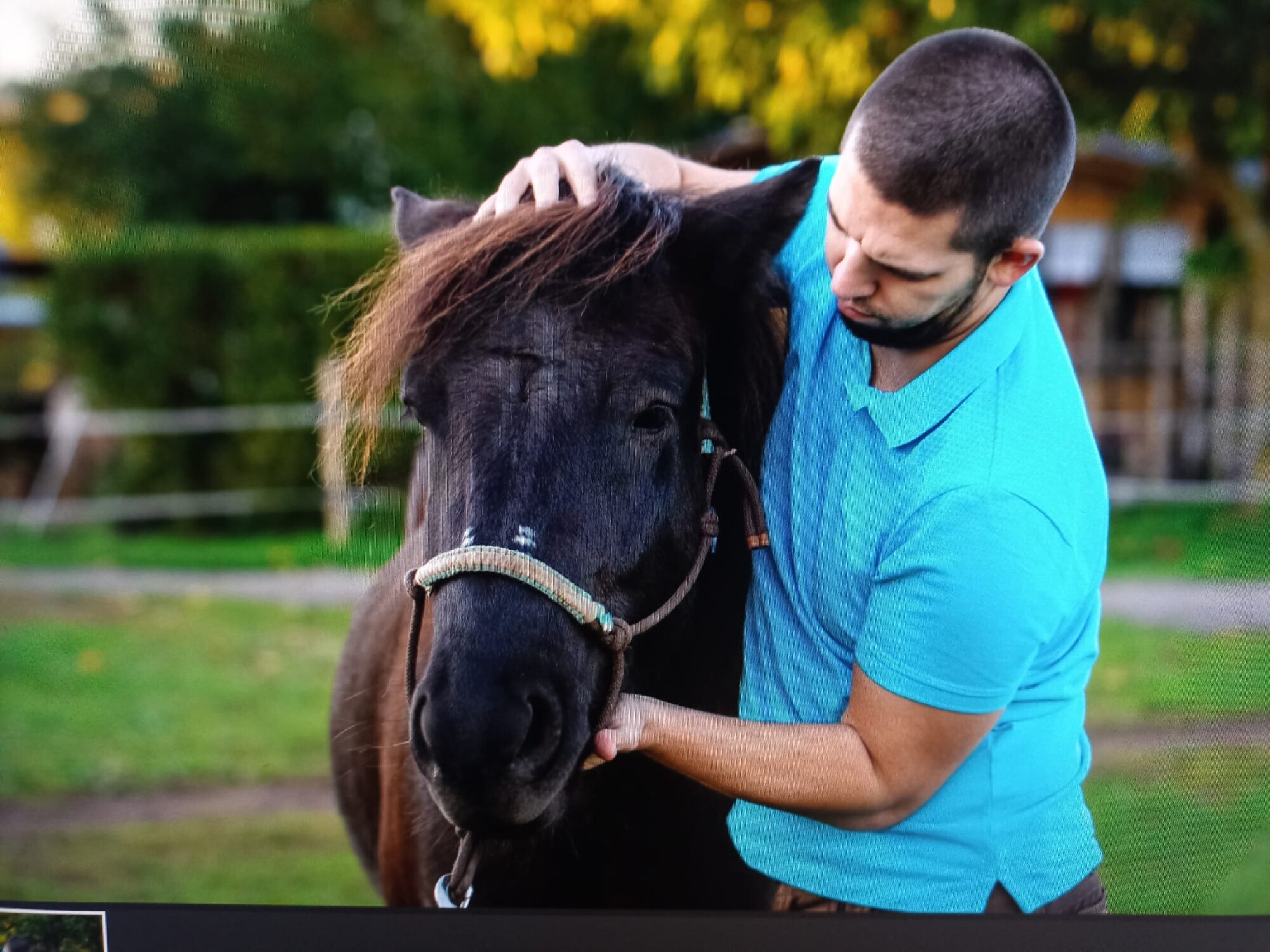 Tierphysiotherapie Leif Atkins - Mobile Physiotherapie für Pferde und Hunde in Ottweiler
