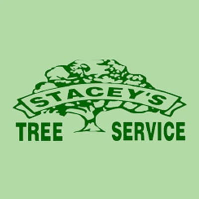 Stacey's Tree Service Logo
