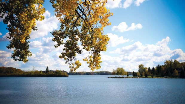 Images Reserve at West Bloomfield