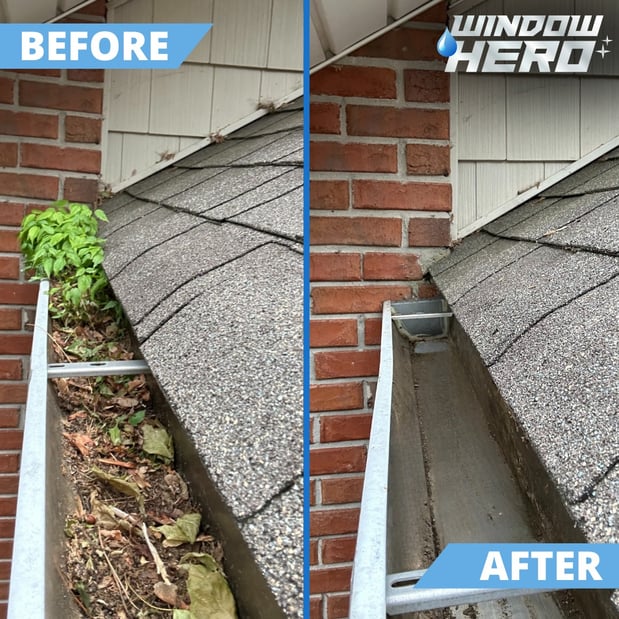 Images Window Hero Charlotte