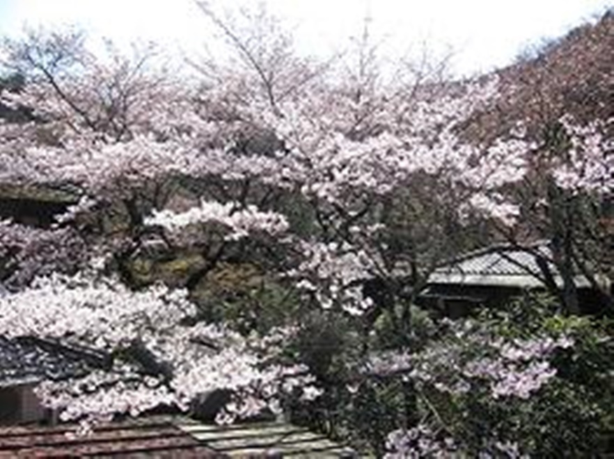 Images 逢坂山かねよ 本店