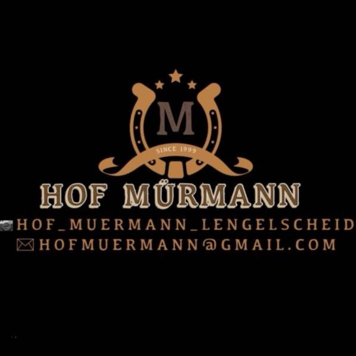 Pferdepension Mürmann in Meinerzhagen - Logo