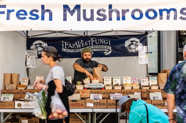 Images Channel House