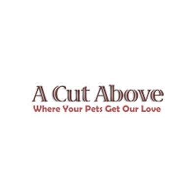 A cut above