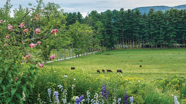 Images Holiday Inn Express & Suites Pittsfield-Lenox-Berkshires by IHG