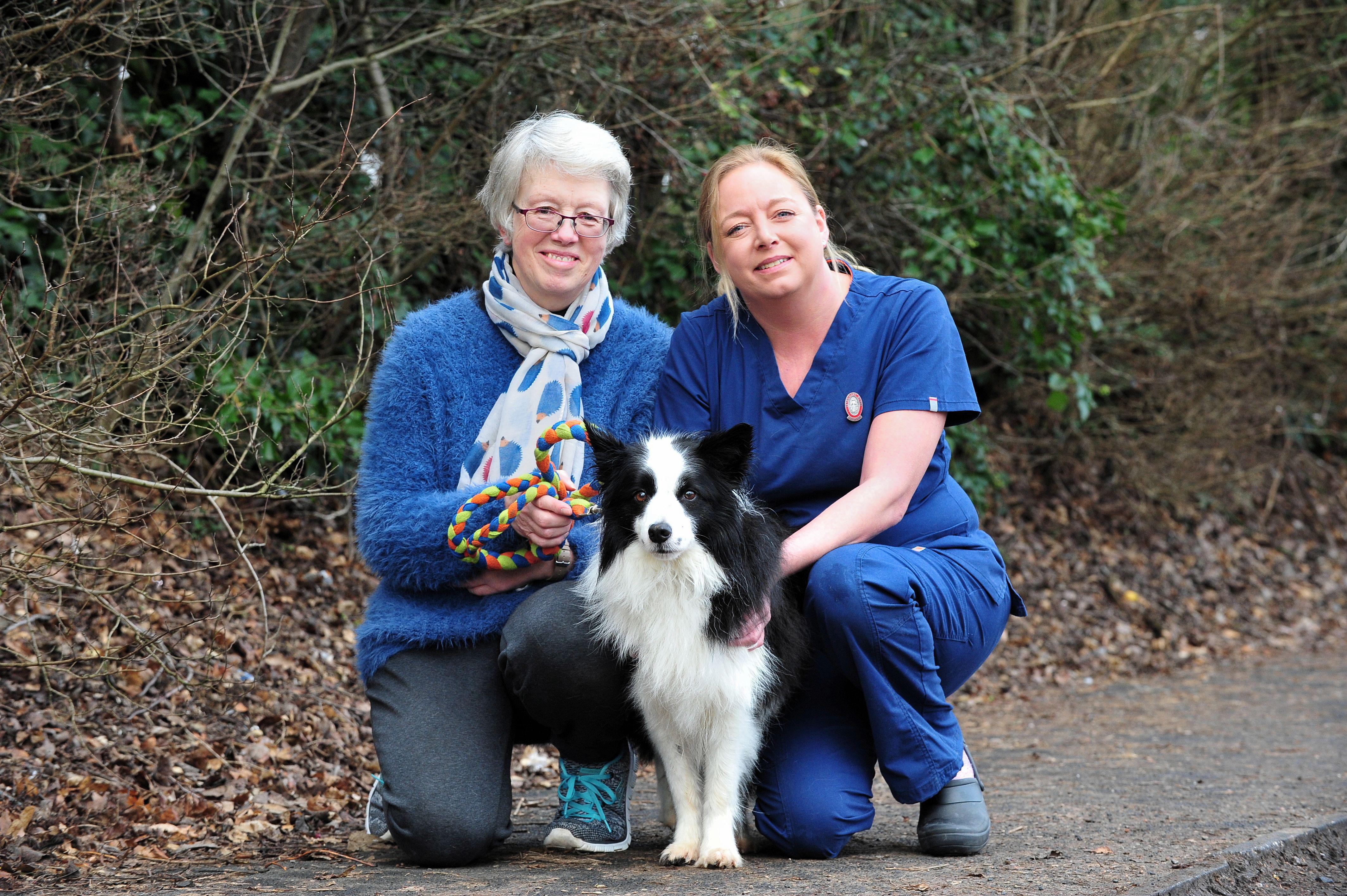 Images Severn Veterinary Centre, Henley-in-Arden