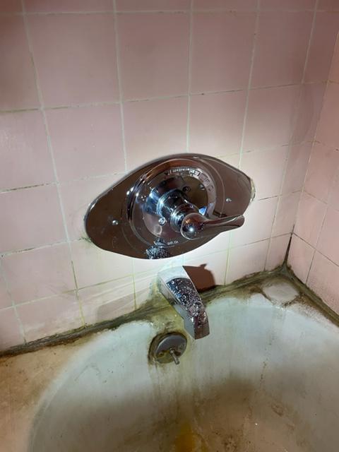 Samy's Plumbing- Repair and installation of tubs