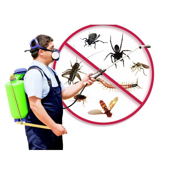 Homestead Wildlife Solutions