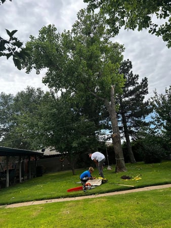 Images BRW Landscaping