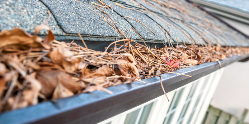 Contact our team for gutter cleaning and keep your feet on the ground.