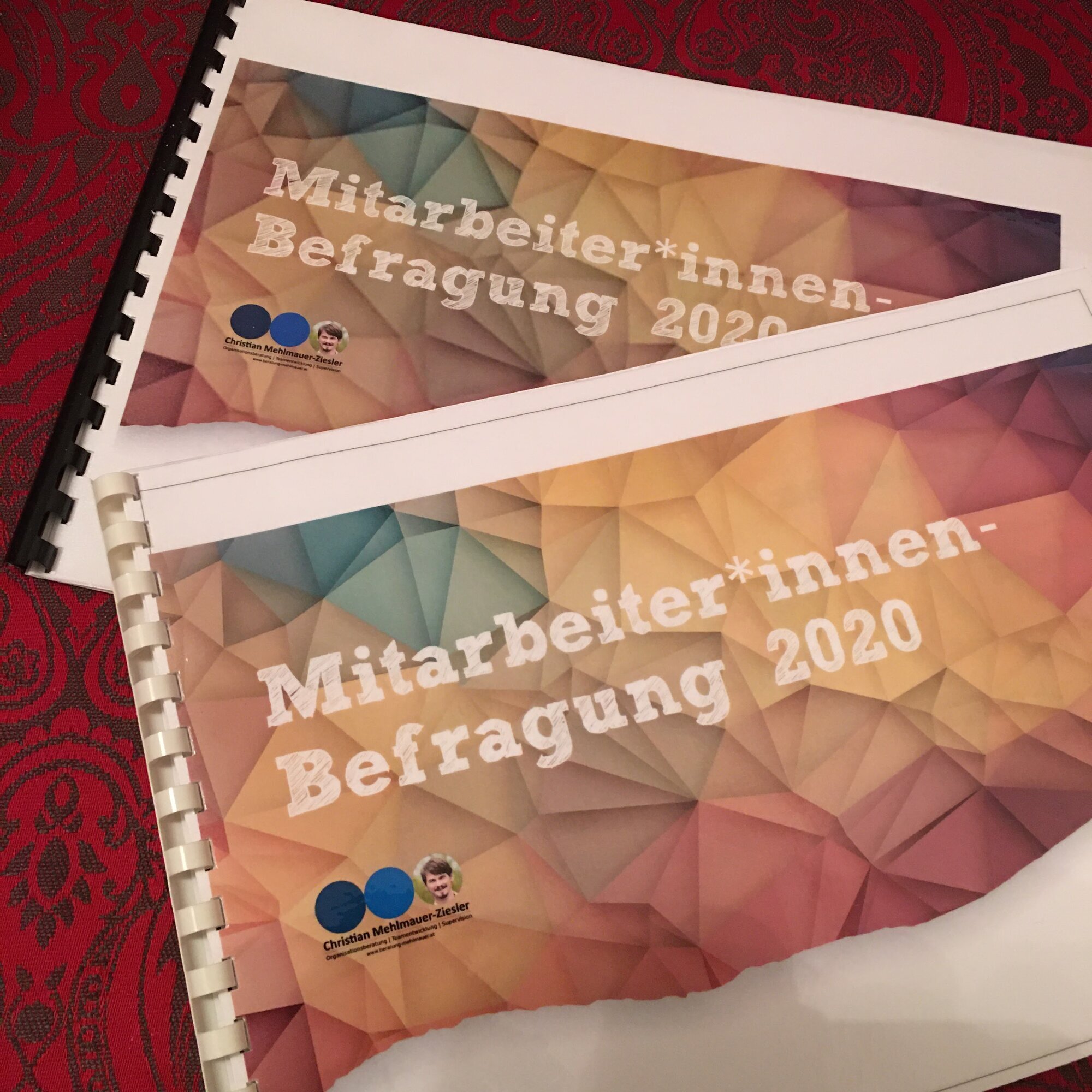 Bild 19 von Christian Mehlmauer-Ziesler, Organisationsberatung