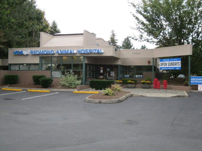 Image 3 | VCA Redmond Animal Hospital