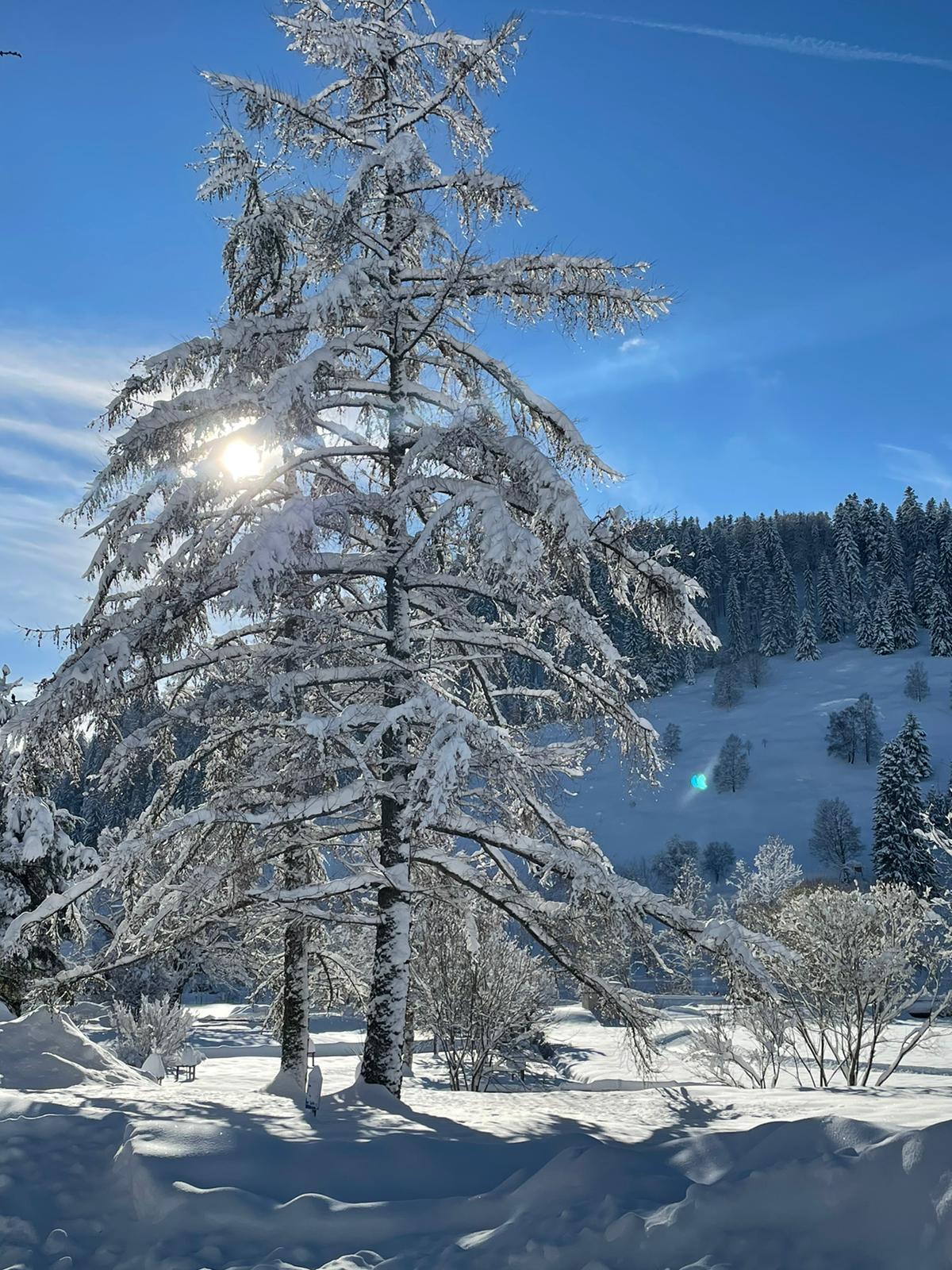 Bild 1 Erlebnisfasten - Fastenwandern Schwarzwald in Menzenschwand