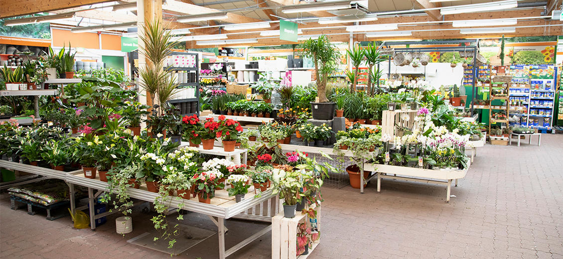 Fotos - OBI Markt Neubrandenburg Nord - 28