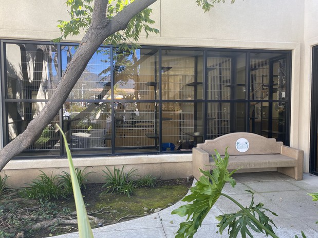 Images VCA Santa Margarita Animal Hospital