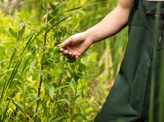 Images Westwood Professional Services