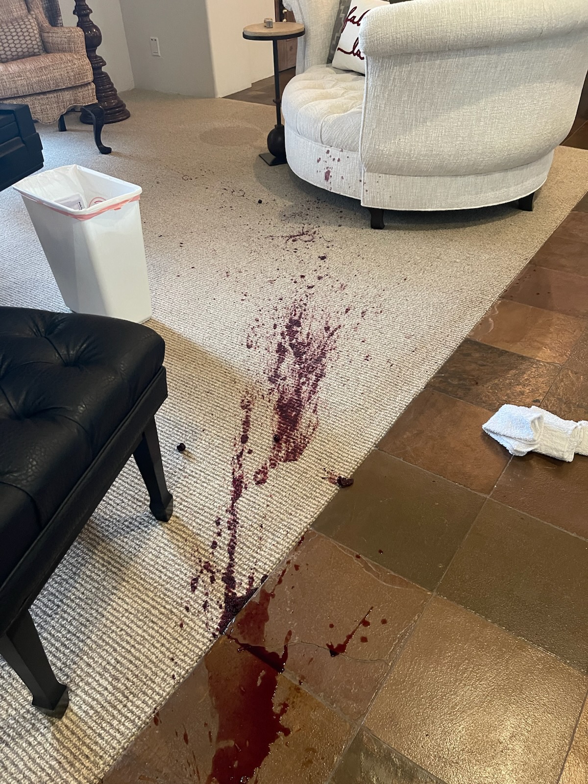 Masters Touch Carpet Care Image