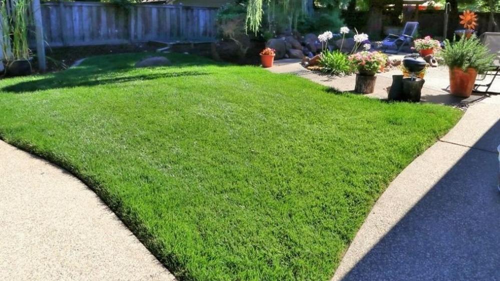 Trust 5 Star Gardening for expert lawn care services tailored to the needs of your grass and soil. Our experienced professionals provide fertilization, weed control, aeration, and other essential lawn treatments to promote lush, healthy greenery that enhances the curb appeal of your property.