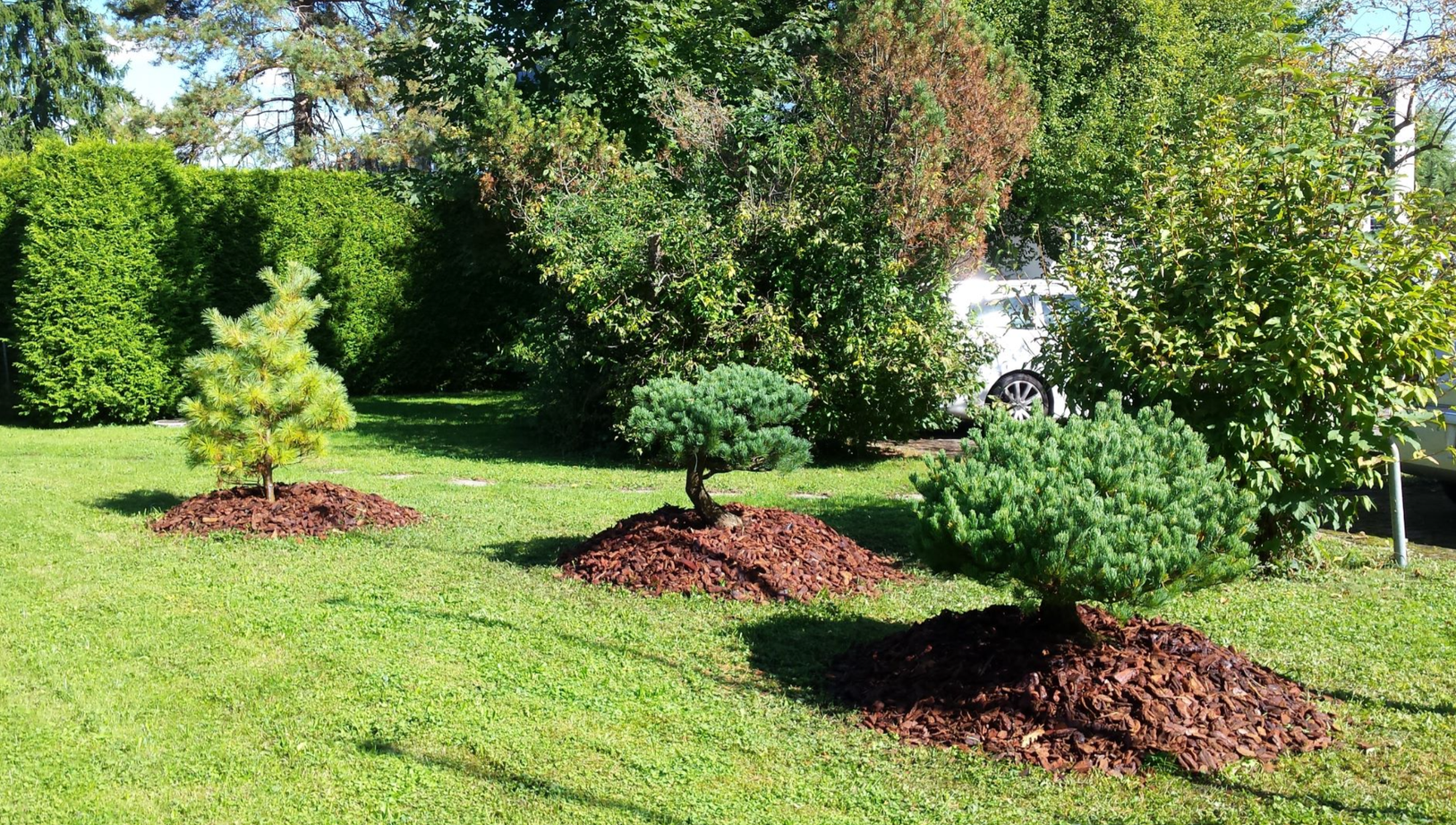 Baumpflege-Gallusser, Bergstrasse 3 in Hinteregg