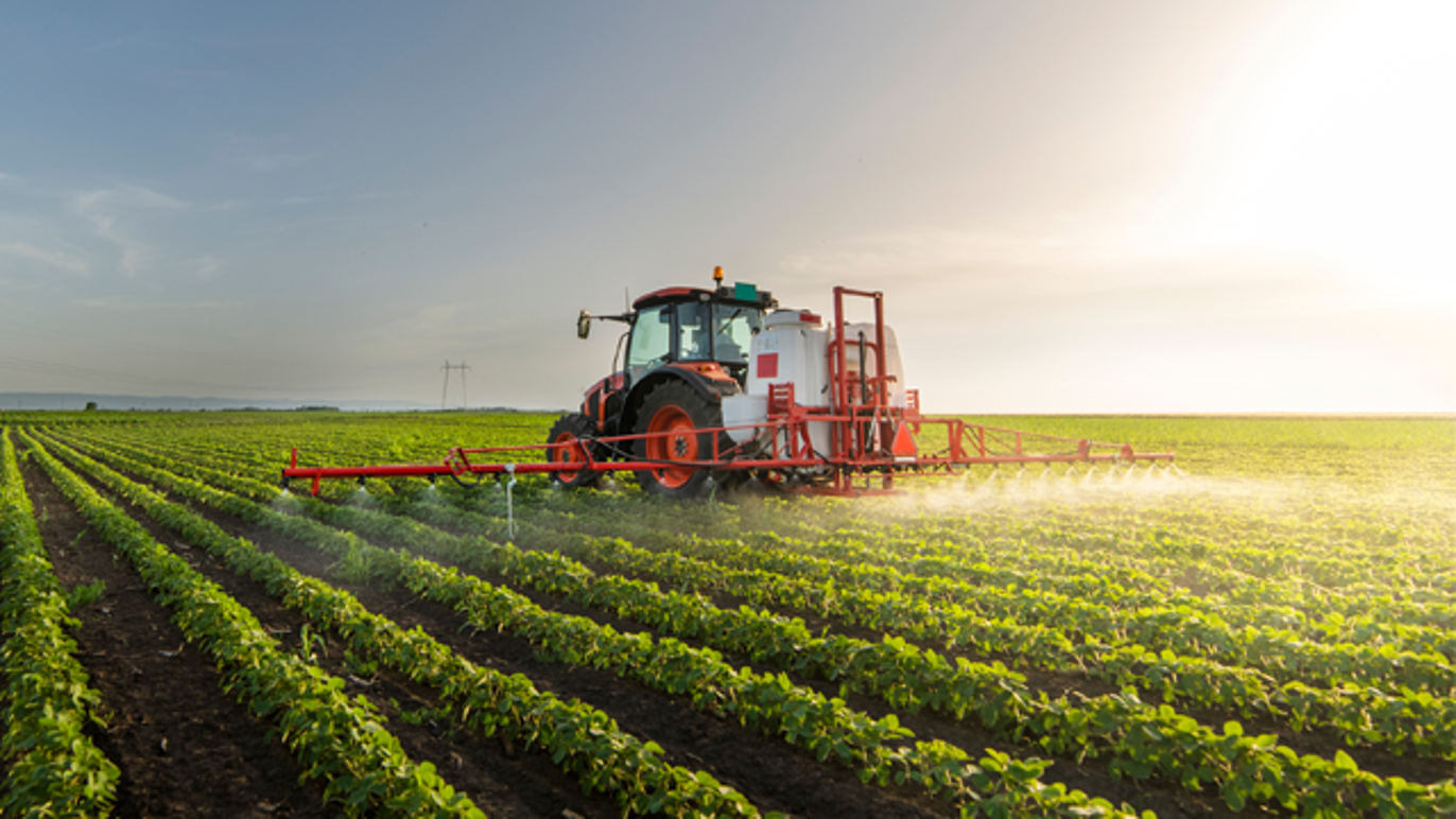 Images Thomas Gram Lindstad