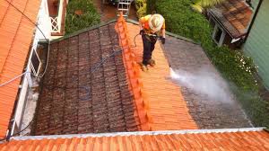 Images Whyte's Roofing and Gutter Cleaning Service