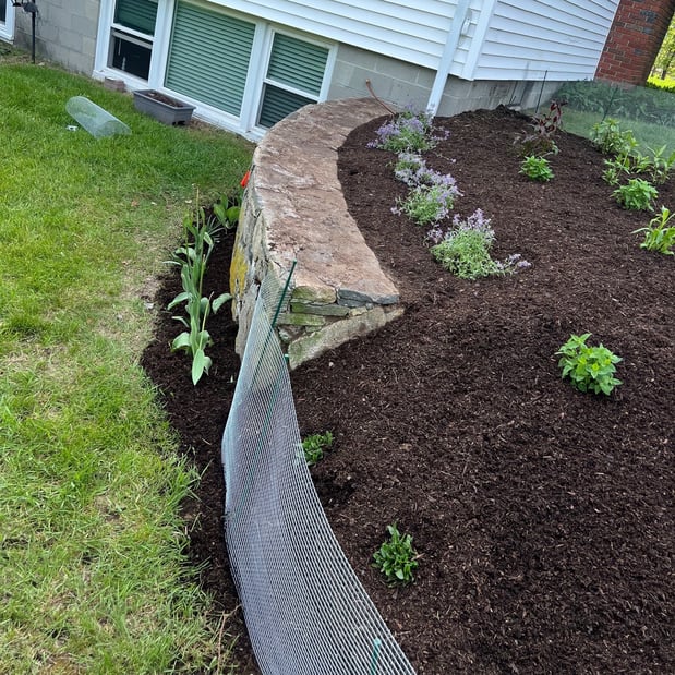 Images Greenleaf’s Garden Design