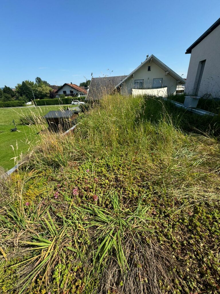 Bild 3 von DSM Bau GmbH