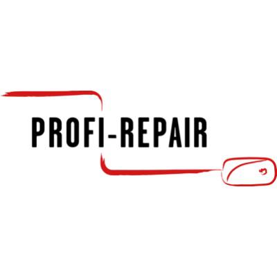 profi-repair in Buckenhof - Logo