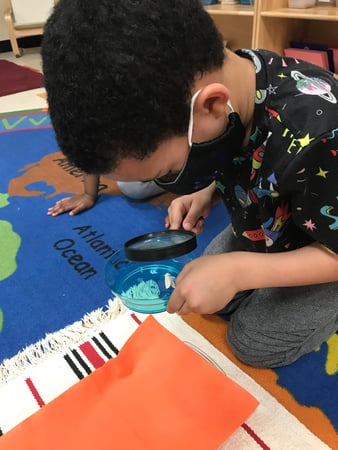 Images Teeter Toddler