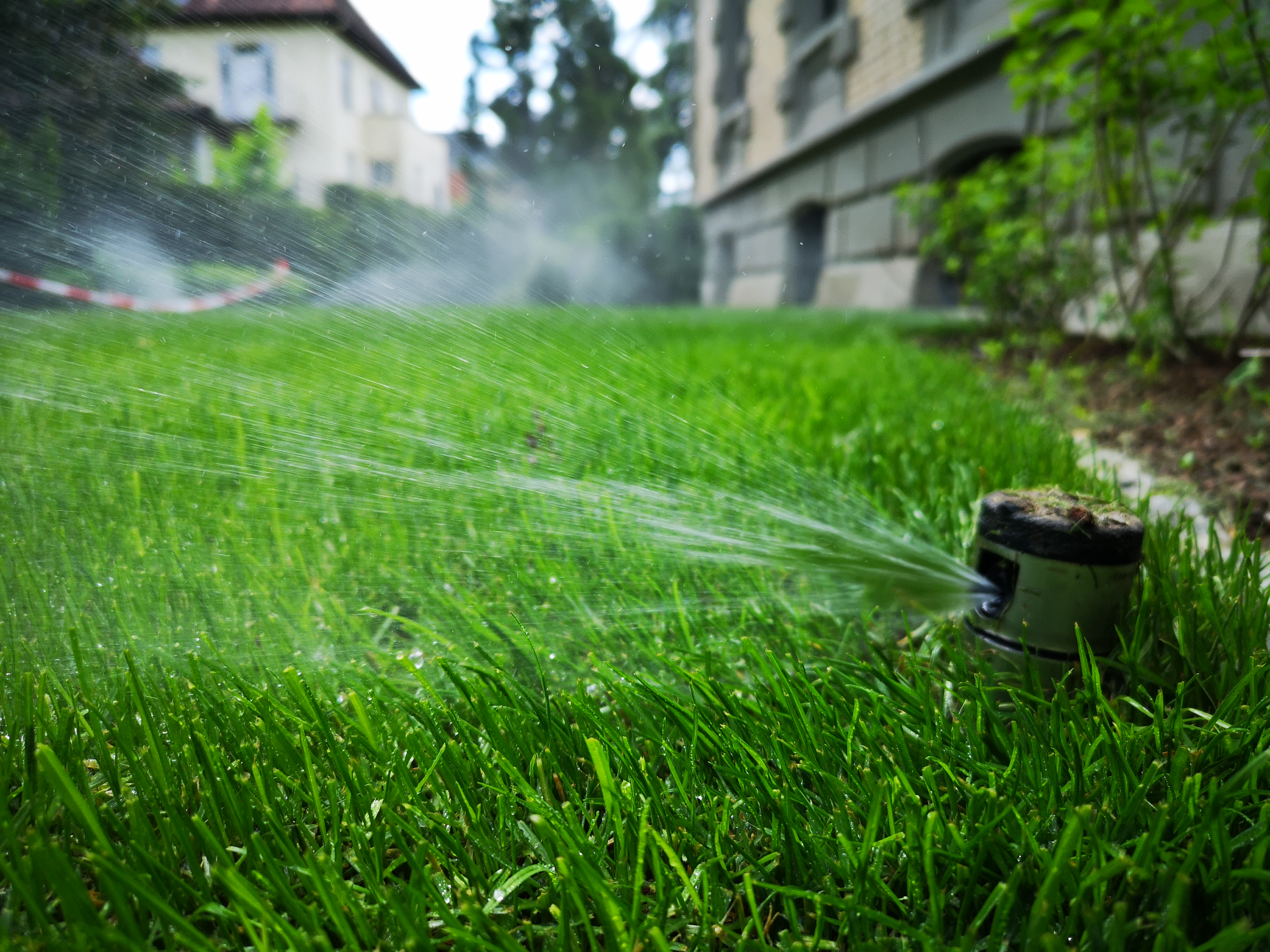 Bild 4 von Krstic Boban Ing - Gartenpflege