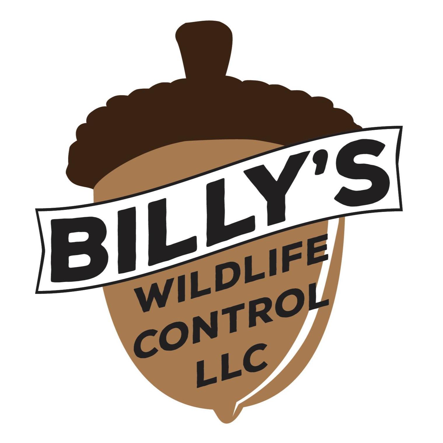 Billy's Wildlife Control, LLC