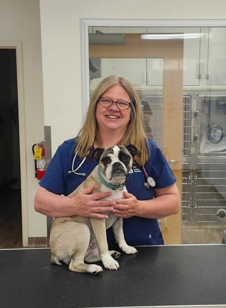 Images VCA AVH Animal Hospital