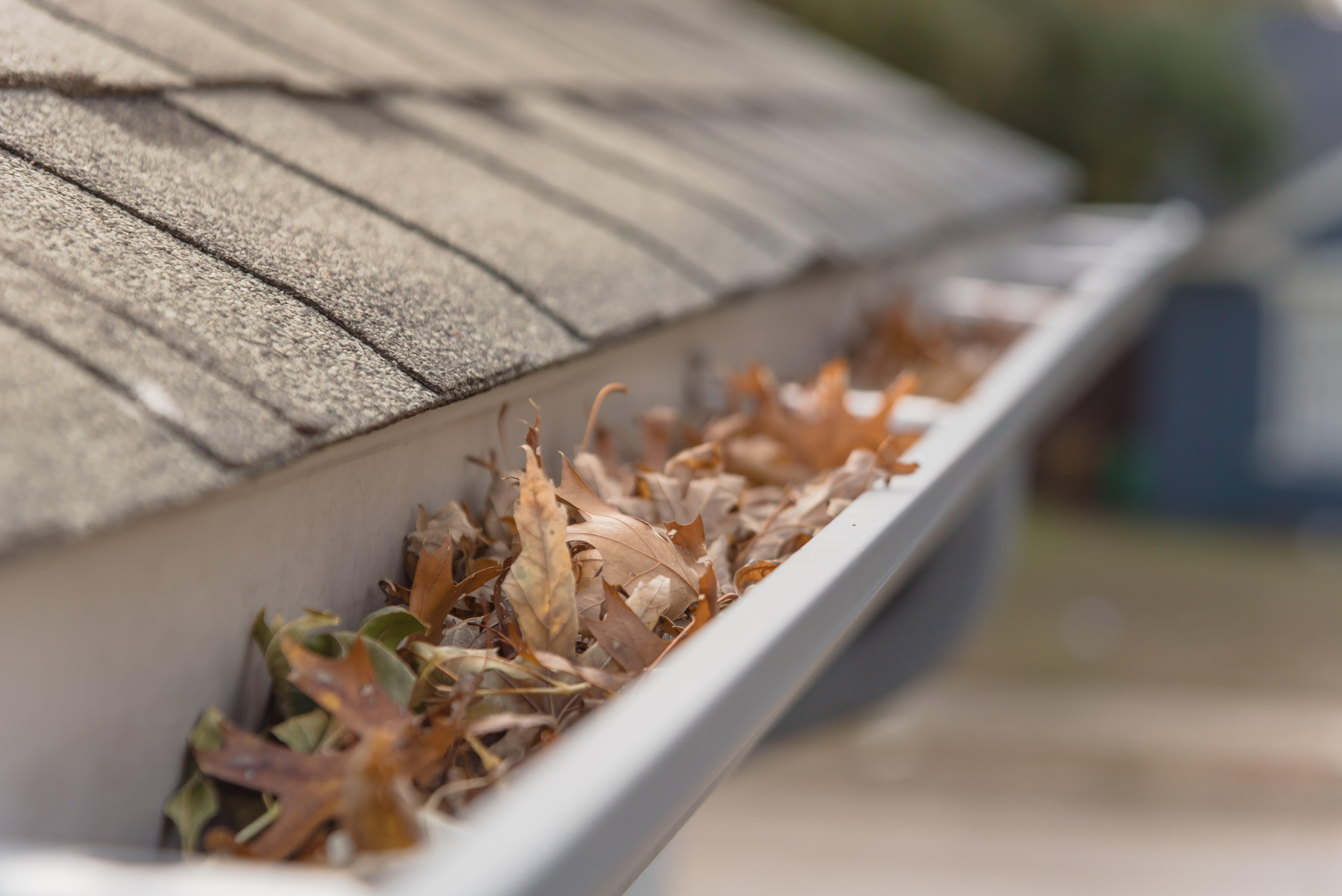 Premier Gutter Services LLC