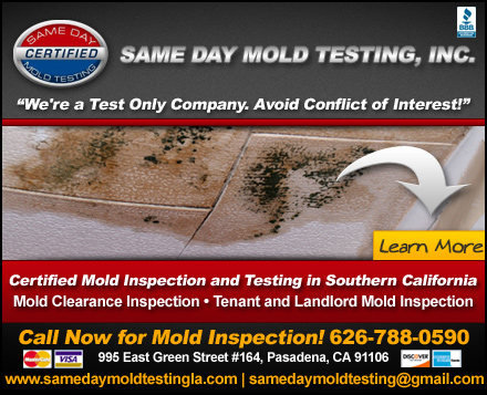 Images Same Day Mold Testing, Inc