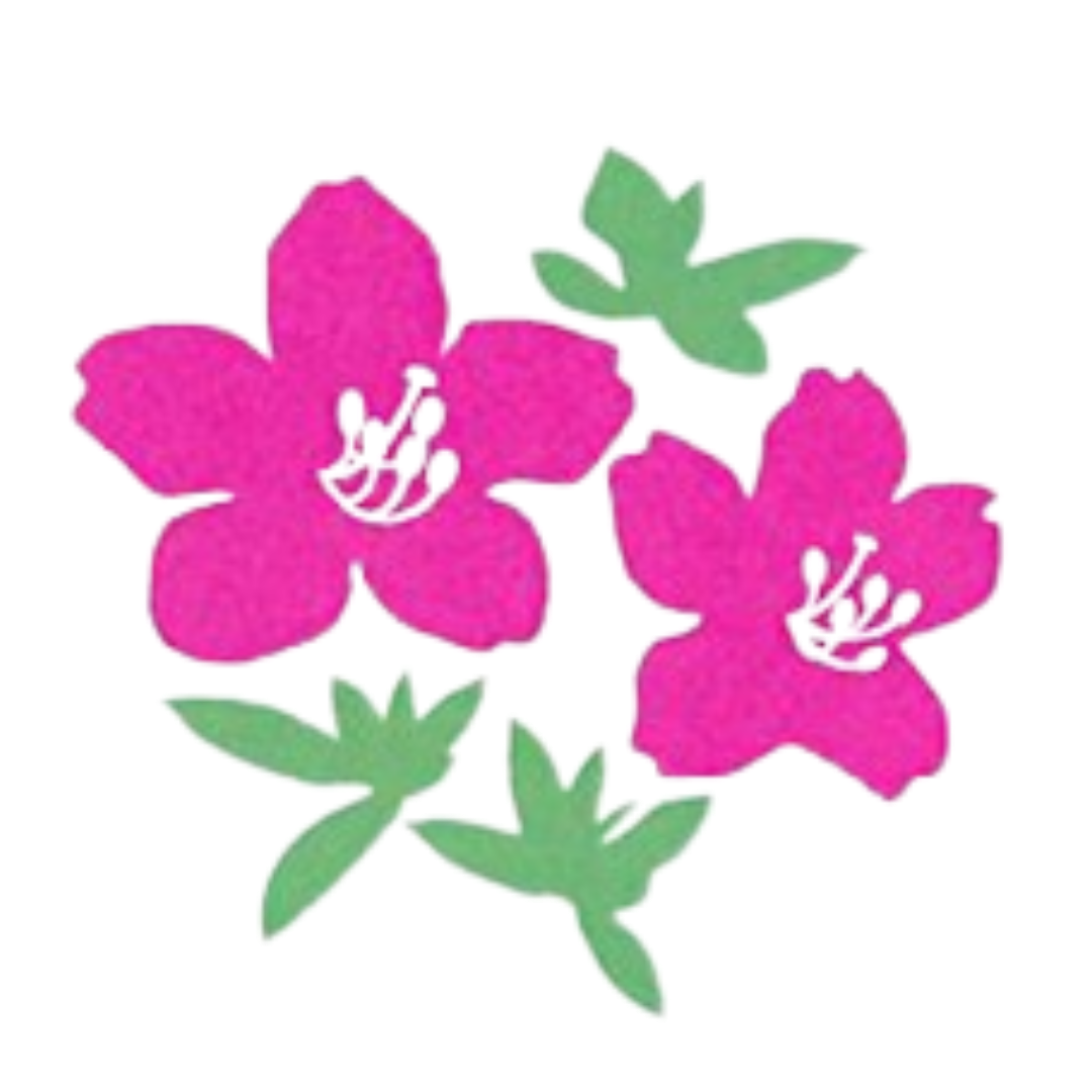 さつきデンタルクリニック Logo