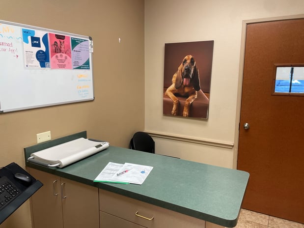 Images VCA Beltline East Animal Hospital
