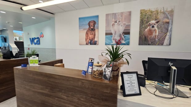 Images VCA Emergency Animal Hospital & Referral Center