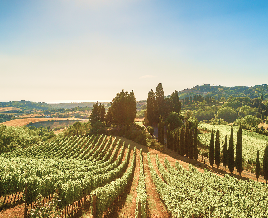 A sunlit Tuscan landscape.