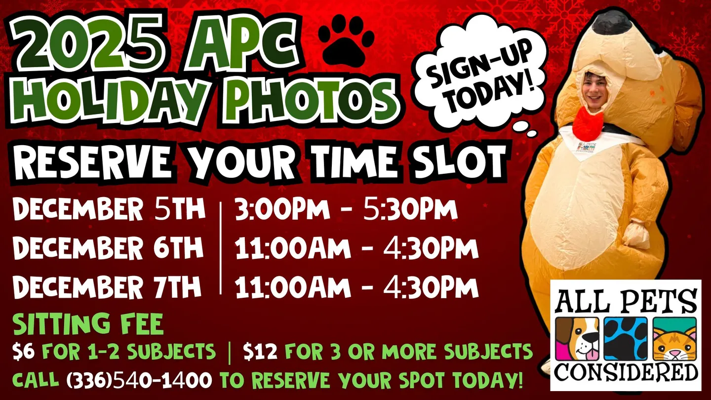 Image of Local Pet Event Holiday Pet Portraits at All Pets Considered Nearby