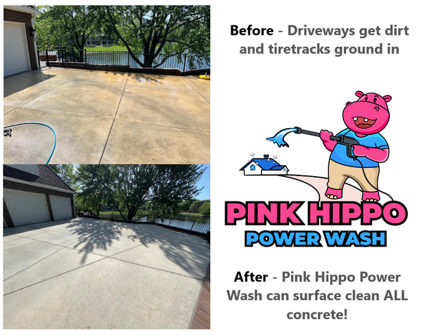 Images Pink Hippo Power Wash