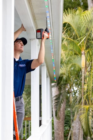 Images Blue Collar Electric