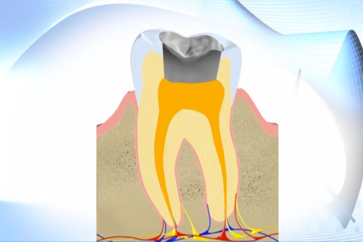 Images Clínica Dental Indenta