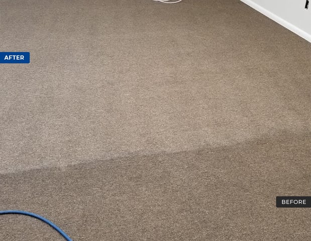 Images Pacific Coast Carpet Cleaning