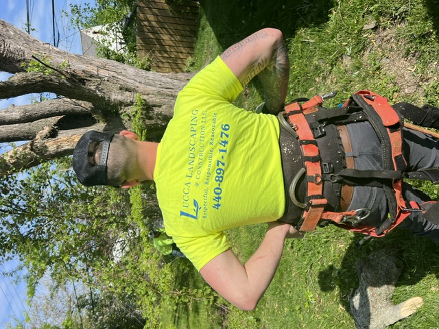 At Lucca Landscaping & Construction LLC, we offer professional tree pruning services to support tree health and encourage strong, balanced growth. Pruning helps prevent future problems and improves the overall structure of your trees. Our team takes a thoughtful approach to every project, considering both safety and long-term health. We work to keep your trees looking their best year-round.