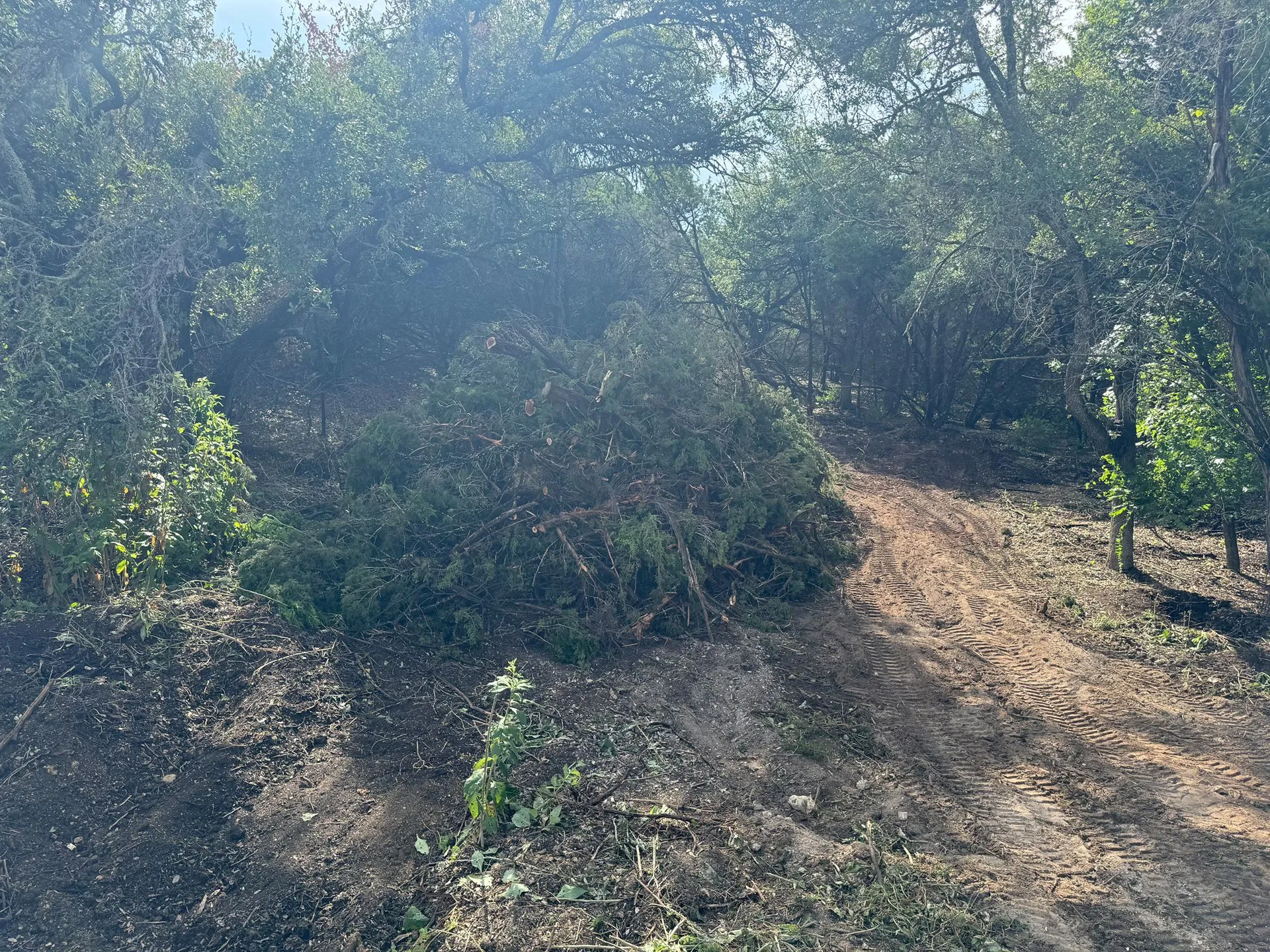 Freedom Land Services and Consulting Image