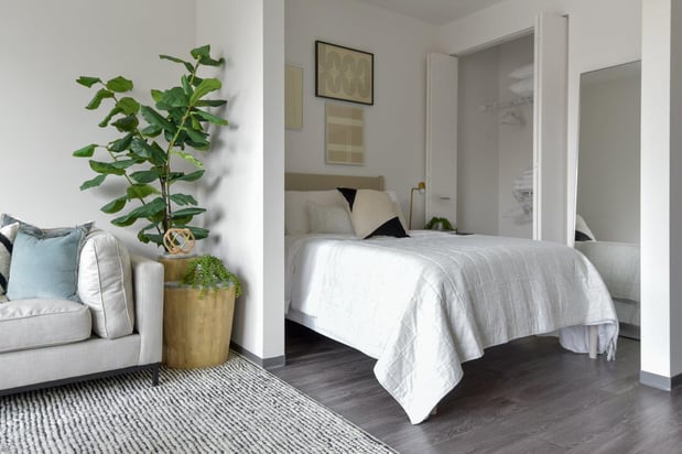 Images Noca Blu Apartment Homes