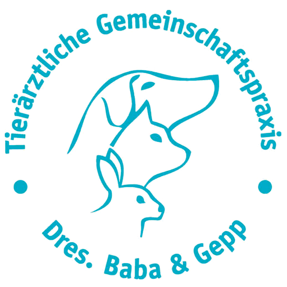 Logo Baba Dr., Gepp Dr.