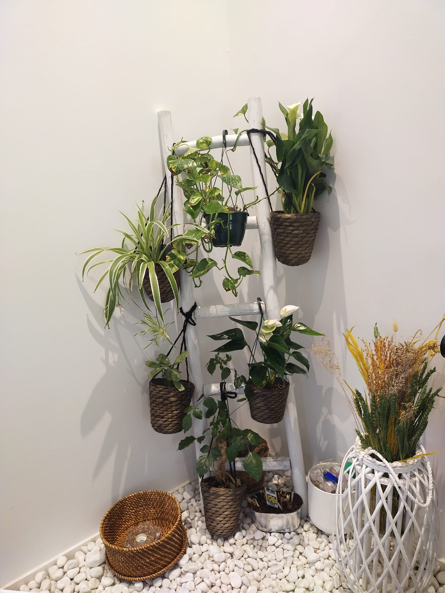 Images Acupuntura vital majadahonda