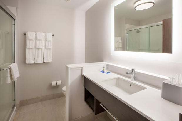Images Holiday Inn Express & Suites Houston - Downtown North by IHG
