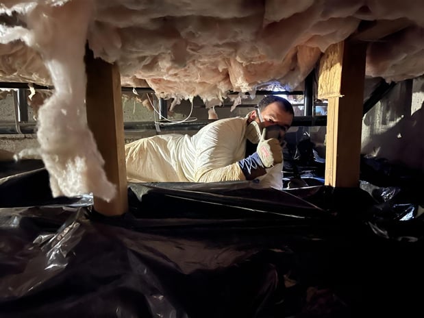 Images PURCOR Pest Solutions